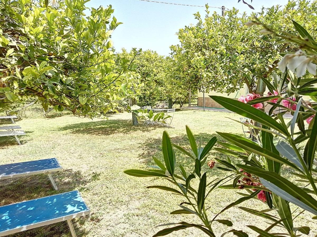 Villa Primofiore Di Vendicari La Banca Dış mekan fotoğraf