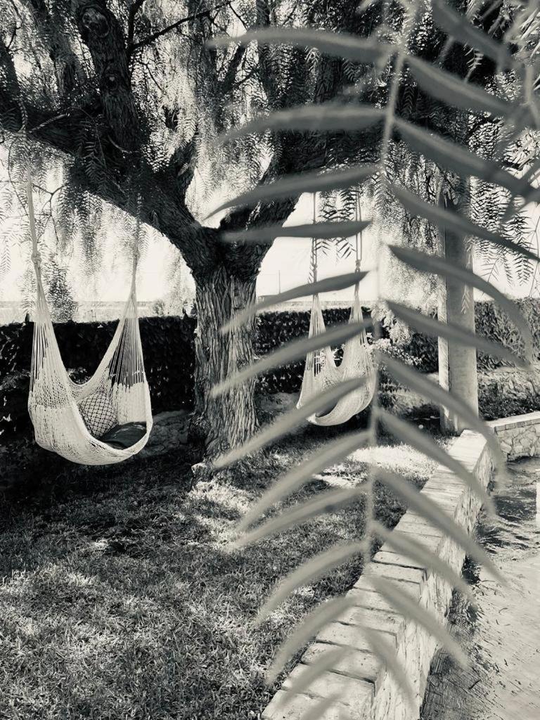 Villa Primofiore Di Vendicari La Banca Dış mekan fotoğraf
